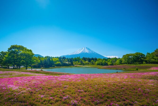 Full Day Tour to Mount Fuji in Spanish - Key things I’d pay attention to