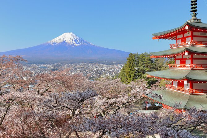 Full Day Tour to Mount Fuji in Spanish - Weather decides the day, and the guides react fast