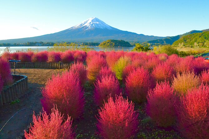 Full Day Tour to Mount Fuji in Spanish - Small group pace: why max 9 matters on a long day