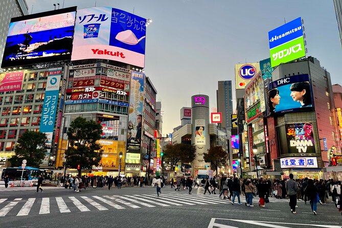 Get Unique Insights into Tokyo - Private Tour with local Guide - Meiji Jingu to Harajuku, where etiquette and street style meet
