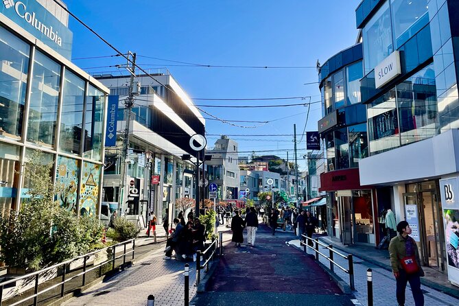Get Unique Insights into Tokyo - Private Tour with local Guide - Odaiba in a half-day, futuristic Tokyo that still has charm