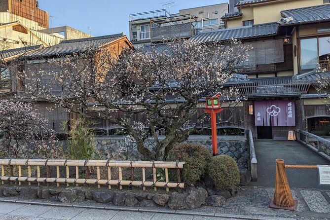 Gion Nocturno: Secretos y Leyendas de las Geishas - Grupo máximo de 15 personas: el detalle que cambia todo