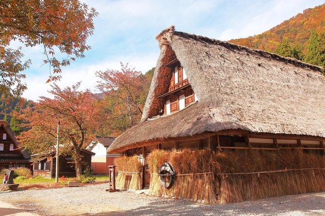 Gokayama and Shirakawago/Photoshoot by professional photographer - Ogimachi Castle Old Site observatory: a short uphill walk for big views