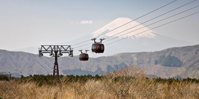 Hakone 8 hour Private Tour with Government-Licensed Guide - Key things that make this Hakone private tour worth your time