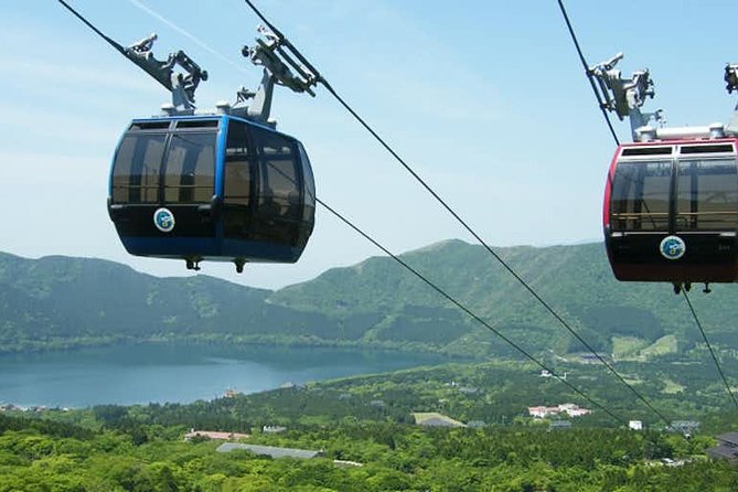 Hakone 8 hour Private Tour with Government-Licensed Guide - Why an 8-hour Hakone walking plan beats racing the bus
