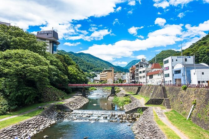 Hakone 8 hour Private Tour with Government-Licensed Guide - Hakone Ropeway and the Gora area: views that justify the effort