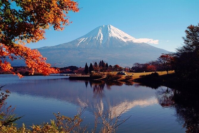 Hakone 8 hour Private Tour with Government-Licensed Guide - Museum and niche stops for specific interests (glass, botanical wetlands, and more)