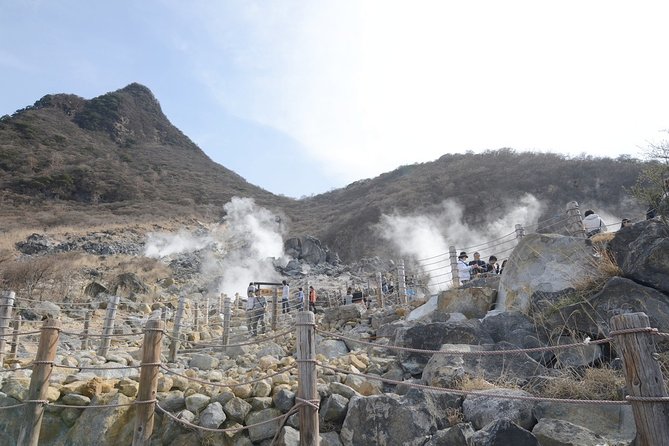 Hakone 8 hour Private Tour with Government-Licensed Guide - Choosing 4 to 5 sites from a smart Hakone menu