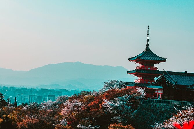 Hakone and Mt. Fuji Day Trip with Private Vehicle - How the Private Car Day Trip From Tokyo Feels Different