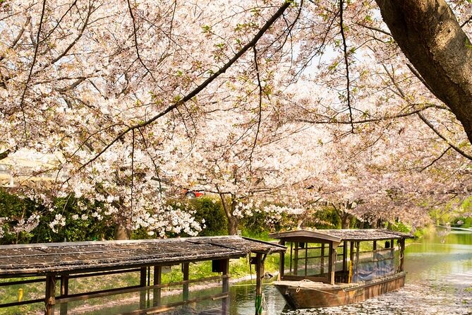 Hakone and Mt. Fuji Day Trip with Private Vehicle - Stop 5: Gora Park for Gardens, Fountains, and Greenhouses