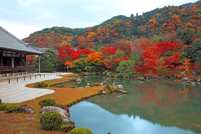 Half Day Kyoto Sagano Bamboo Grove & Arashiyama Walking Tour - Sagano bamboo grove, the 3-km goal that feels longer