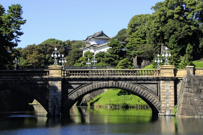 Half Day Sightseeing Tour in Tokyo - Akihabara, Ueno, and Harajuku drive-bys: seeing Tokyo’s contrast fast