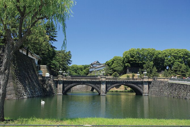 Half-day Tokyo Morning Tour by Hato Bus - Timing, traffic, and how to protect your afternoon