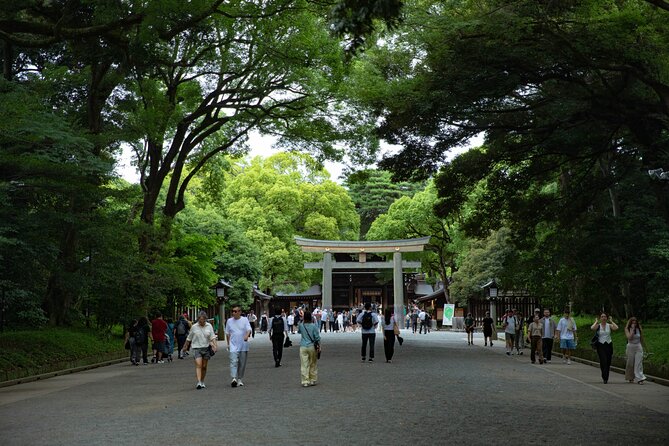 Harajuku Meiji Shrine Walking Tour in Tokyo - Who this tour suits best, and who should rethink it