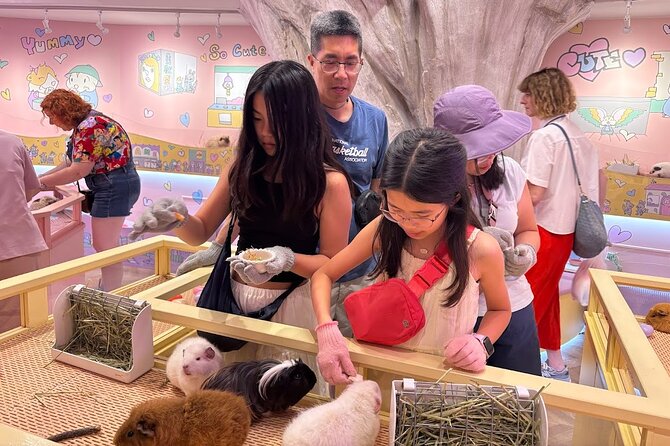 Harajuku Private Tour: Kawaii Fashion & Animal Cafe Included - Tokyu Plaza Harajuku: a convenient fashion stop with major people-flow