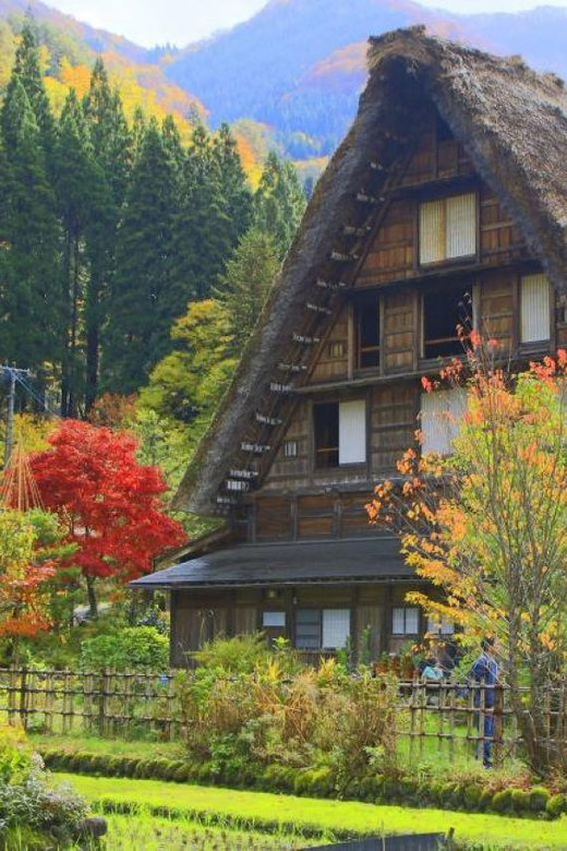 Hida Takayama, Shirakawa-go+Observatory|Day Trip from Nagoya - Ogimachi Castle Shirakawago Observation Deck, the full village panorama