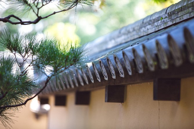 Hidden Kyoto E-Biking tour - Why an e-bike loop is one of the smartest Kyoto plans