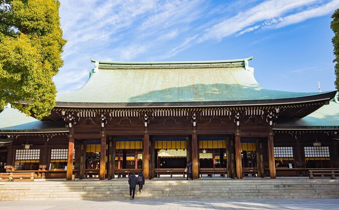 Highlights & Hidden Gems of the Shibuya District Private Tour - Key things that make this Shibuya and Kinza private tour click