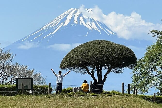 Hike Hakone Hachiri - Cedar Trees of Hakone Old Road: Tokugawa Hidetada’s shade plan