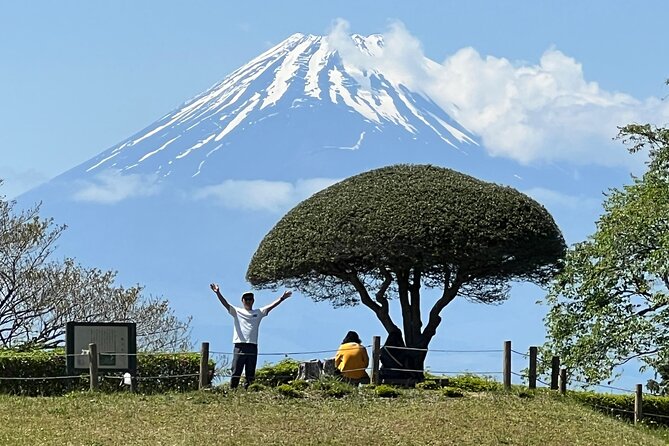 Hike Japan Heritage Hakone Hachiri with certified mountain guide - Key highlights before you go