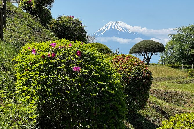 Hike Japan Heritage Hakone Hachiri with certified mountain guide - Stop 1: Hakone Amazake Tea House and the wood crafting village walk