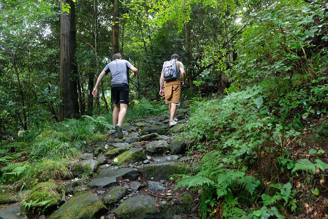 Hike Japan Heritage Hakone Hachiri with certified mountain guide - Cedar Avenue and the Hakone Checkpoint: why Edo travel mattered