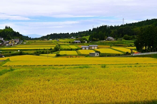 Hiking the Historic Nakasendo Trail [1 Day Tour from Nagoya] - Getting started: Nagoya Station, 9:30 am, and private transport