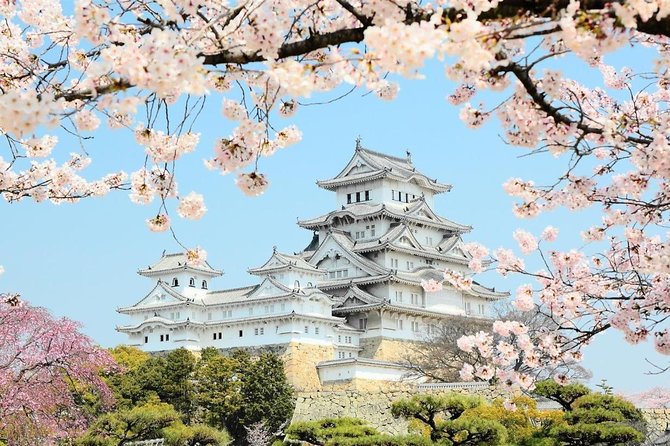 Himeji Half-Day Private Tour with Government-Licensed Guide - Himeji City Museum of Art: a useful breather if you want variety