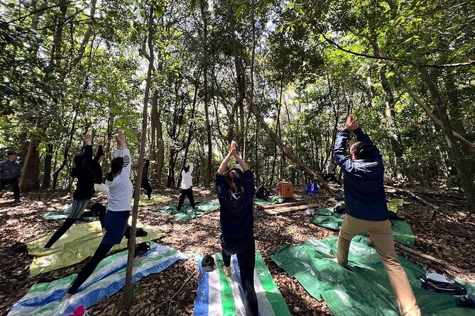 Hiroshima Local guided Hiking Tour&Open-air Tea Ceremony - Why the Futaba Mountains morning feels different in Hiroshima