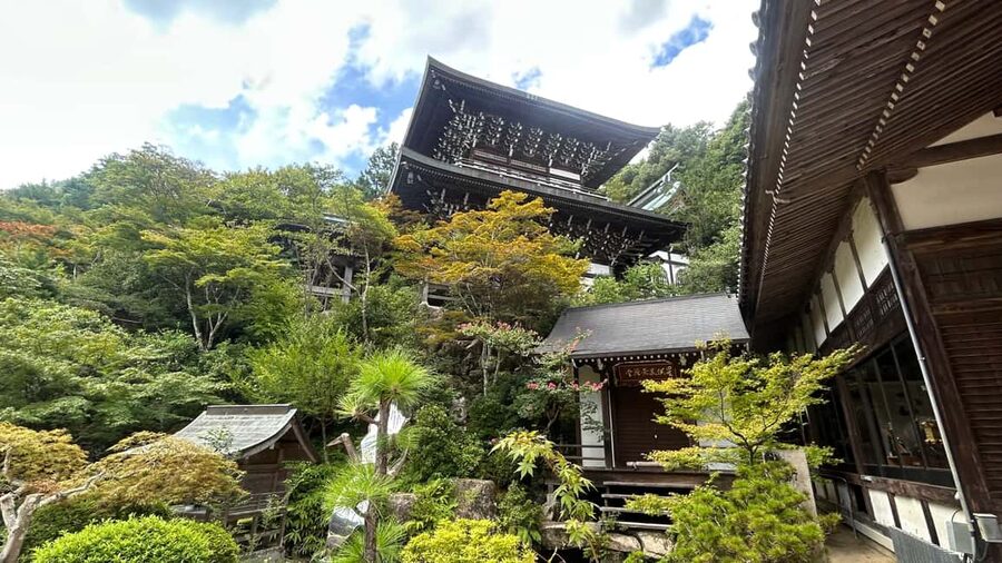 Hiroshima & Miyajima 6.5h Guided Tour – Dome, Park & Shrine - Omotesando Street Time: Eating, Shopping, and Resetting Your Head