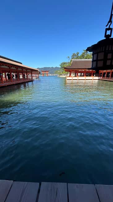 Hiroshima & Miyajima 6.5h Guided Tour – Dome, Park & Shrine - Atomic Bomb Dome Stop: Seeing a Symbol Without Rushing Through It