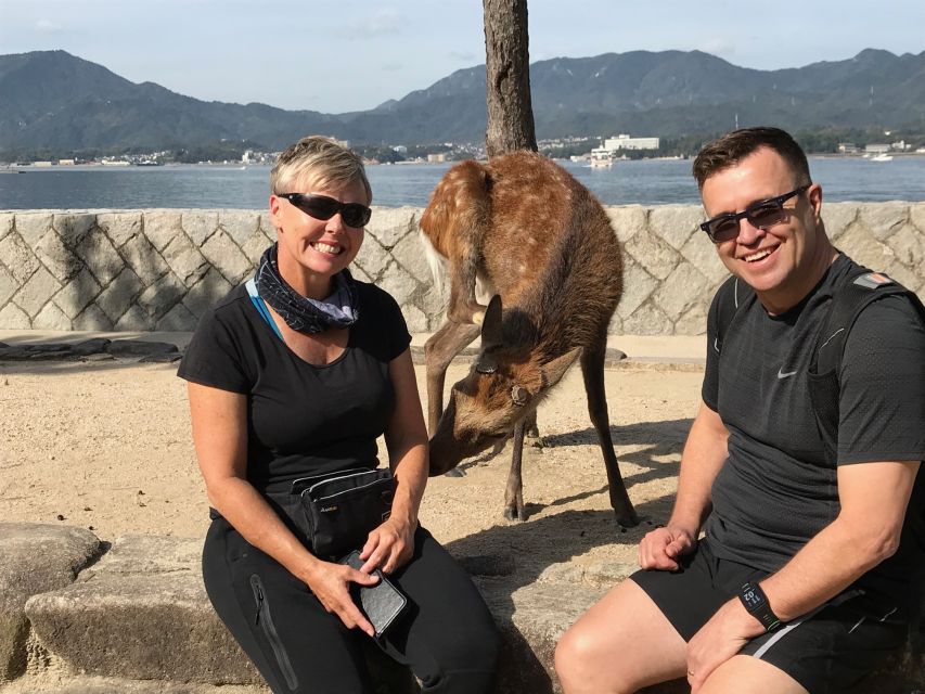 Hiroshima & Miyajima: Full-Day Private Tour & Licensed Guide - How the Private Format Saves You Time and Headaches