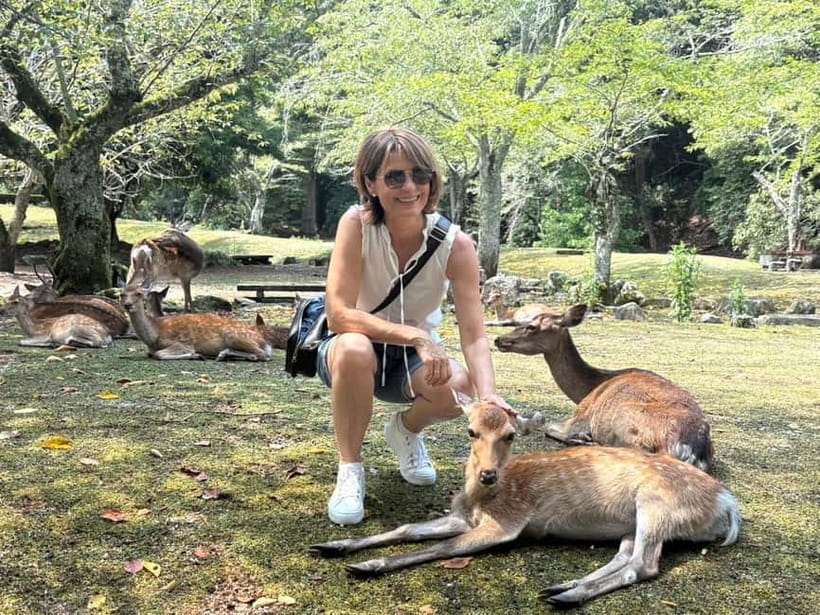 Hiroshima: Miyajima Island Half-Day Tour with Guide - Getting to Miyajimaguchi, then out onto the Seto Inland Sea