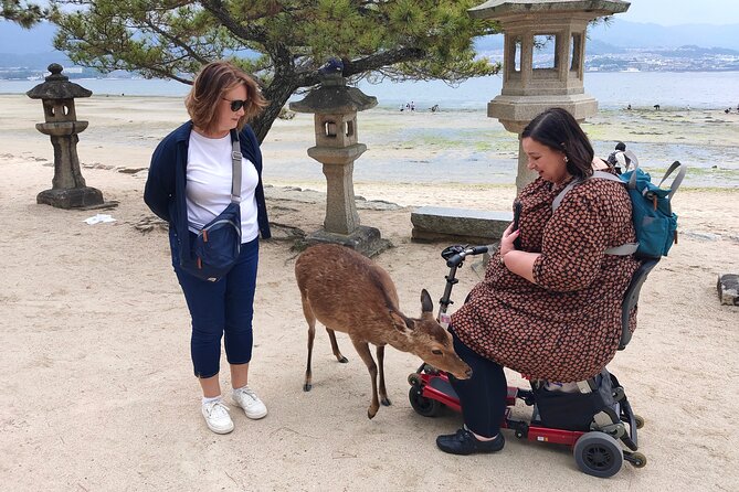 Hiroshima Private Tour: Best Highlights in a Day - Miyajima Omotesando shopping street: deer, snacks, and walking therapy