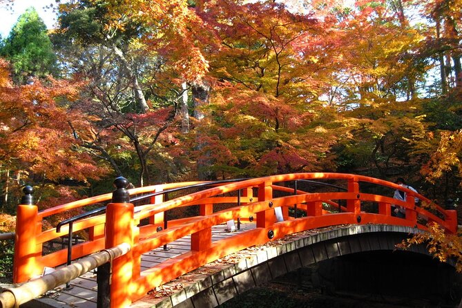 Historical Kyoto E-Bike Tour - Lunch time and photo breaks: what you should plan for