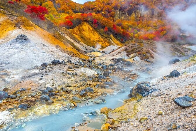 Hokkaido: Lake Toya, Bear Ranch and Sapporo Otaru Full Day Tour - Otaru at 4:30 PM, red-brick canals, and a real dinner window