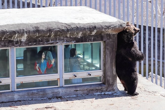 Hokkaido: Lake Toya, Bear Ranch and Sapporo Otaru Full Day Tour - Price and what the day is really worth at $85.66