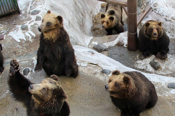 Hokkaido: Lake Toya, Bear Ranch and Sapporo Otaru Full Day Tour - Who should book this tour, and who should skip it