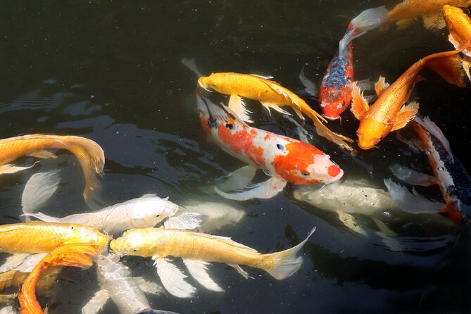 Imperial Palace East Garden and Edo Castle Walking Tour in Tokyo - Photo Stops, Pacing, and What the Walk Feels Like