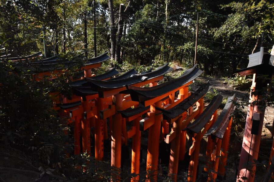 Inside of Fushimi Inari - exploring and lunch with locals - What to wear and how to pace yourself on the stairs