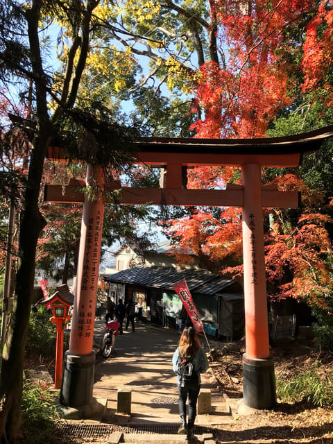 Inside of Fushimi Inari - exploring and lunch with locals - Price and value: why $67 feels fair for a guided, food-included half day