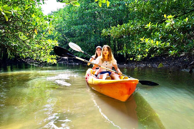 Iriomote 1 Day Mangrove SUP/Canoe, Barasu Island & Yubu Island - Lunch break: use it well so the afternoon stays fun