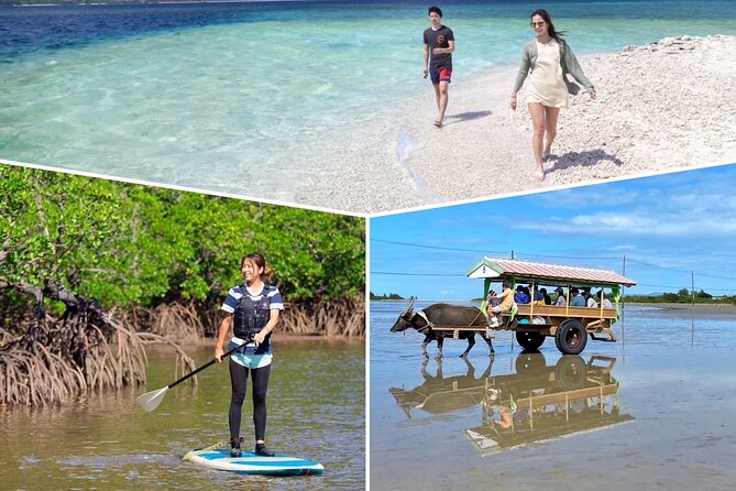 Iriomote 1 Day Mangrove SUP/Canoe, Barasu Island & Yubu Island - Yubu Island and the water buffalo cart ride