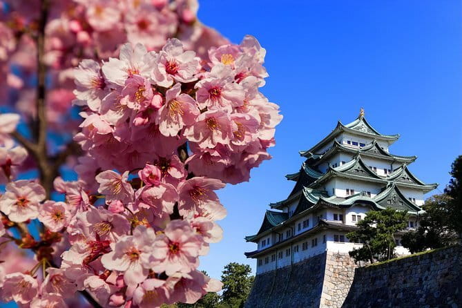 Ise’s Sacred Shrines and Captivating Coastlines - From Nagoya - The Small-Group Guide Style: Learn the Meaning, Not Just the Sights