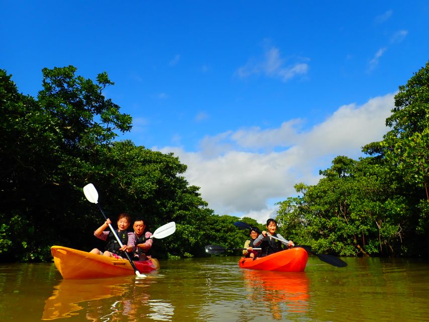 Ishigaki Island: 2-Hour Miyara River SUP or Canoeing Tour - Key highlights you can count on