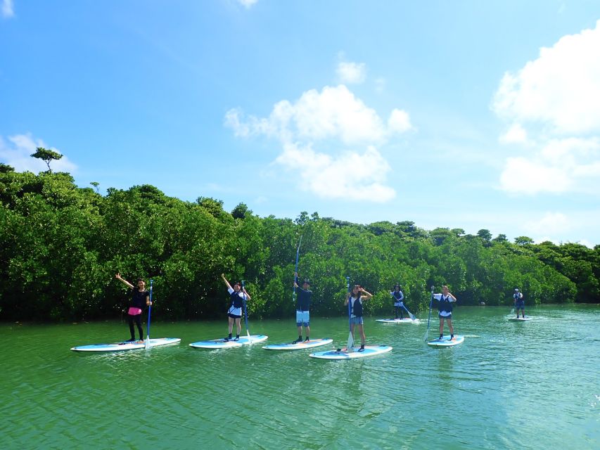Ishigaki Island: 2-Hour Miyara River SUP or Canoeing Tour - 75 minutes on calm water: what the paddle time feels like