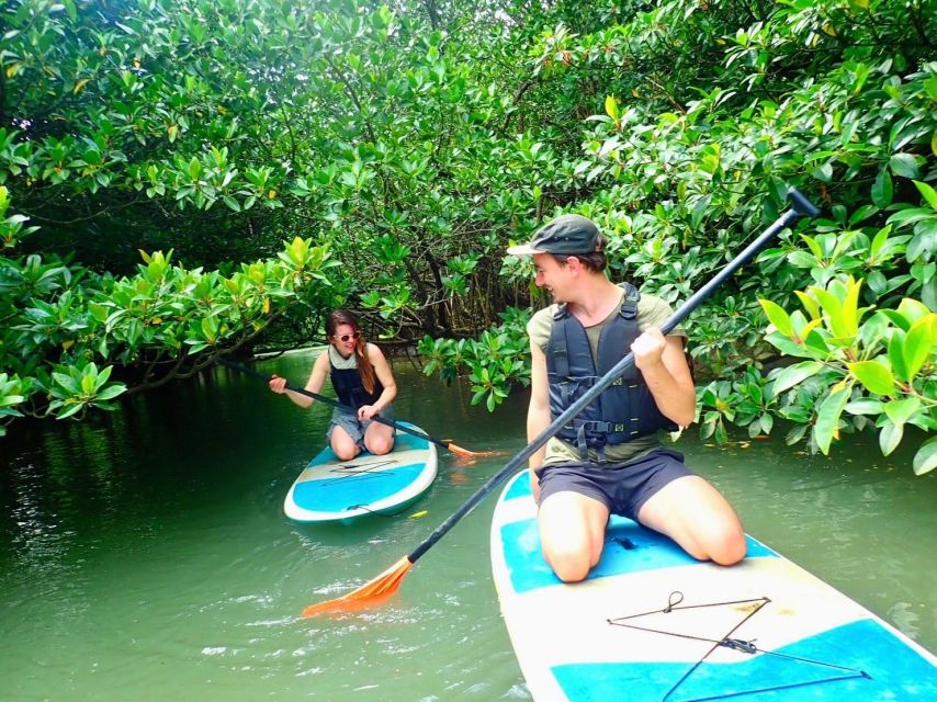Ishigaki Island: 2-Hour Miyara River SUP or Canoeing Tour - Instructor style: friendly, firm, and photo-ready