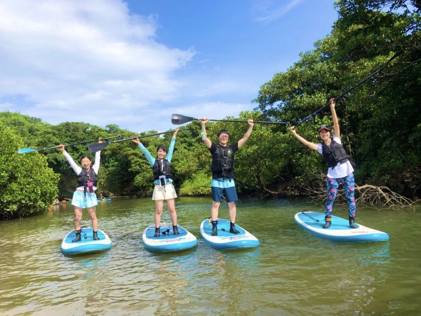 Ishigaki Island: 2-Hour Miyara River SUP or Canoeing Tour - SUP vs canoe: which one makes sense for you