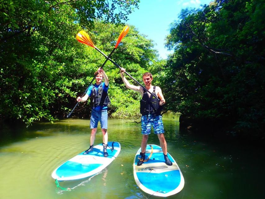 Ishigaki Island: 2-Hour Miyara River SUP or Canoeing Tour - The eco-friendly part is practical, not preachy