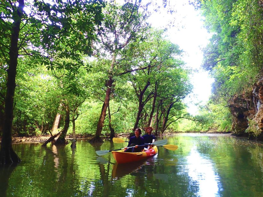 Ishigaki Island: 2-Hour Miyara River SUP or Canoeing Tour - Weather, rain or shine, and what to wear